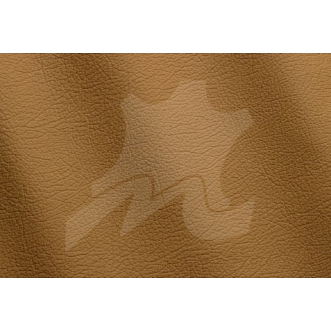 Aligo Group фото